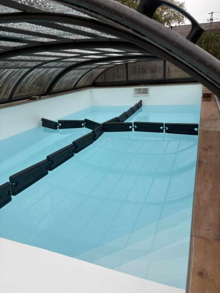 Gold Medence referencia